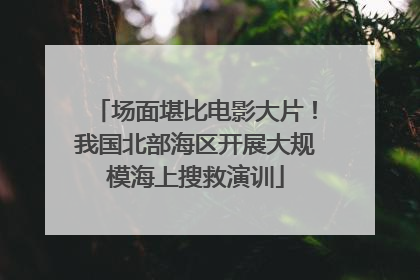 场面堪比电影大片！我国北部海区开展大规模海上搜救演训