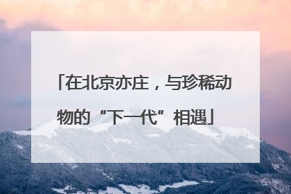 在北京亦庄，与珍稀动物的“下一代”相遇