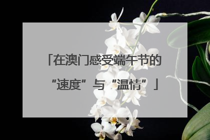 在澳门感受端午节的“速度”与“温情”