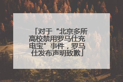 对于“北京多所高校禁用罗马仕充电宝”事件，罗马仕发布声明致歉