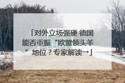 对外立场强硬 德国能否重振“欧盟领头羊”地位？专家解读→