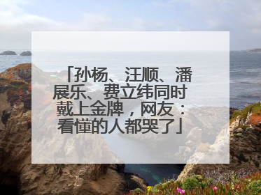 孙杨、汪顺、潘展乐、费立纬同时戴上金牌，网友：看懂的人都哭了