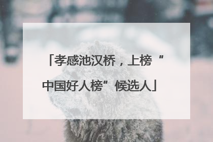 孝感池汉桥，上榜“中国好人榜”候选人