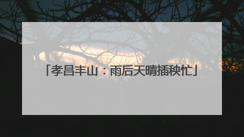 孝昌丰山：雨后天晴插秧忙