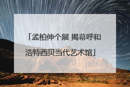 孟柏伸个展 揭幕呼和浩特西贝当代艺术馆