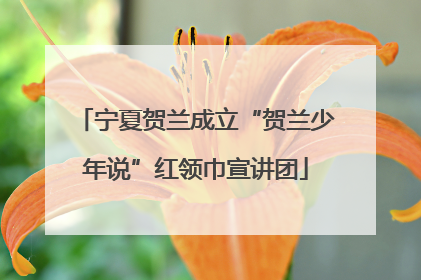 宁夏贺兰成立“贺兰少年说”红领巾宣讲团
