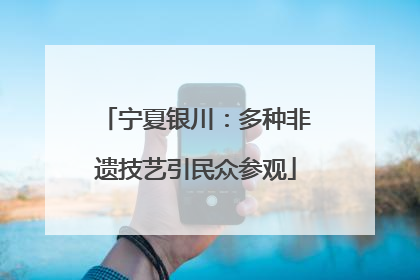 宁夏银川：多种非遗技艺引民众参观