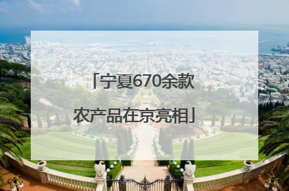 宁夏670余款农产品在京亮相