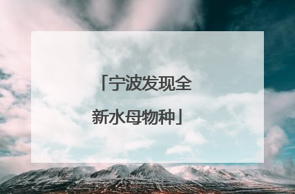 宁波发现全新水母物种
