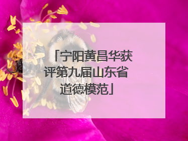 宁阳黄昌华获评第九届山东省道德模范