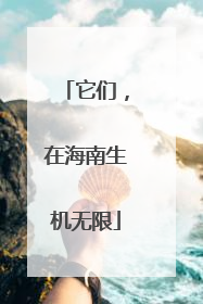 它们，在海南生机无限