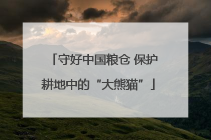 守好中国粮仓 保护耕地中的“大熊猫”