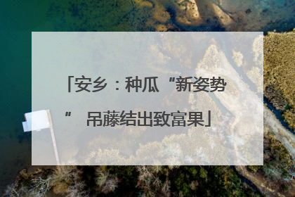 安乡：种瓜“新姿势” 吊藤结出致富果