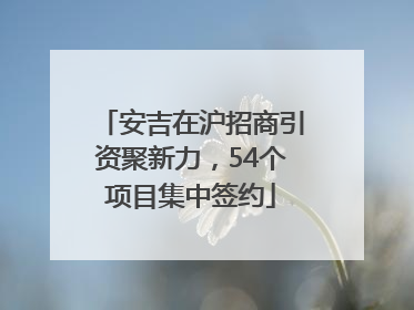 安吉在沪招商引资聚新力，54个项目集中签约