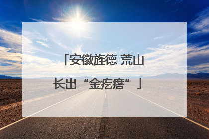 安徽旌德 荒山长出“金疙瘩”