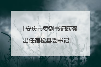 安庆市委副书记廖强出任宿松县委书记
