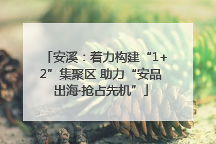 安溪：着力构建“1+2”集聚区 助力“安品出海·抢占先机”