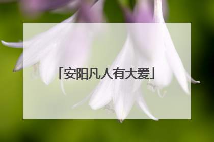 安阳凡人有大爱