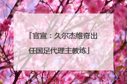 官宣：久尔杰维奇出任国足代理主教练