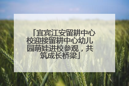 宜宾江安留耕中心校迎接留耕中心幼儿园萌娃进校参观，共筑成长桥梁