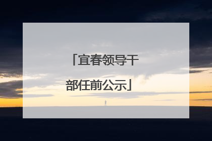 宜春领导干部任前公示
