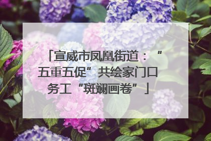 宣威市凤凰街道：“五重五促”共绘家门口务工“斑斓画卷”