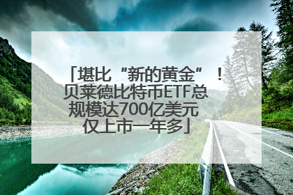 堪比“新的黄金”！贝莱德比特币ETF总规模达700亿美元 仅上市一年多