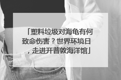 塑料垃圾对海龟有何致命伤害？世界环境日，走进开普敦海洋馆