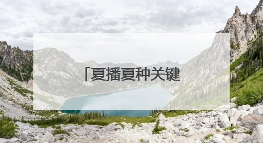 夏播夏种关键期，范县释放强劲“水动力”