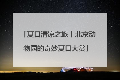 夏日清凉之旅丨北京动物园的奇妙夏日大赏