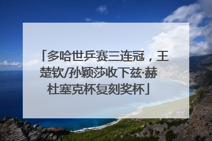 多哈世乒赛三连冠，王楚钦/孙颖莎收下兹·赫杜塞克杯复刻奖杯
