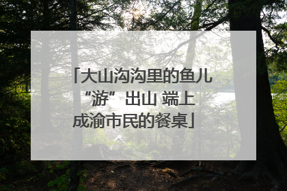 大山沟沟里的鱼儿 “游”出山 端上成渝市民的餐桌