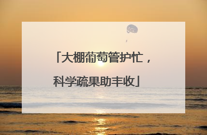 大棚葡萄管护忙，科学疏果助丰收