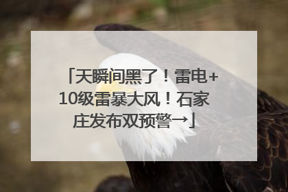 天瞬间黑了！雷电+10级雷暴大风！石家庄发布双预警→