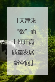 天津乘“数”而上打开高质量发展新空间