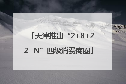 天津推出“2+8+22+N”四级消费商圈