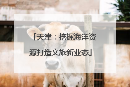天津：挖掘海洋资源打造文旅新业态