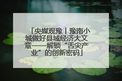 央媒观豫丨豫南小城做好县域经济大文章——解锁“舌尖产业”的创新密码