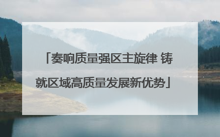 奏响质量强区主旋律 铸就区域高质量发展新优势