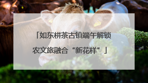 如东栟茶古镇端午解锁农文旅融合“新花样”