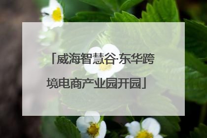 威海智慧谷·东华跨境电商产业园开园