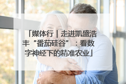 媒体行｜走进凯盛浩丰“番茄硅谷”：看数字神经下的精准农业