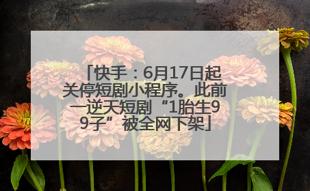 快手：6月17日起关停短剧小程序。此前一逆天短剧“1胎生99子”被全网下架