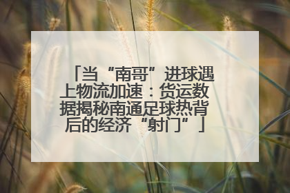 当“南哥”进球遇上物流加速：货运数据揭秘南通足球热背后的经济“射门”