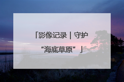 影像记录｜守护“海底草原”