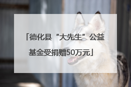 德化县“大先生”公益基金受捐赠50万元