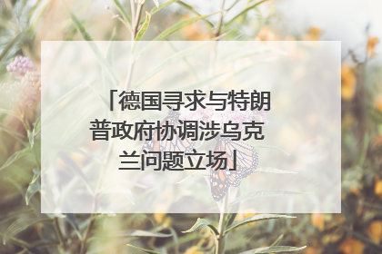 德国寻求与特朗普政府协调涉乌克兰问题立场