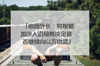 德国外长：将根据加沙人道局势决定是否继续向以方供武