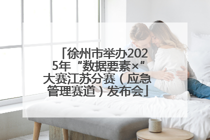 徐州市举办2025年“数据要素×”大赛江苏分赛（应急管理赛道）发布会