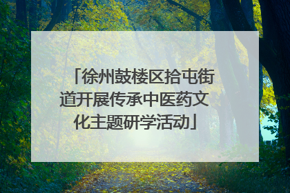 徐州鼓楼区拾屯街道开展传承中医药文化主题研学活动